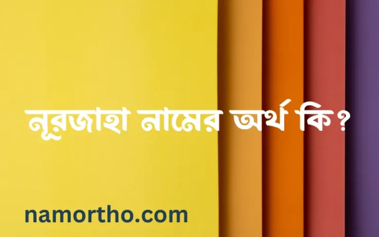 নূরজাহা নামের অর্থ কি? (ব্যাখ্যা ও বিশ্লেষণ) জানুন