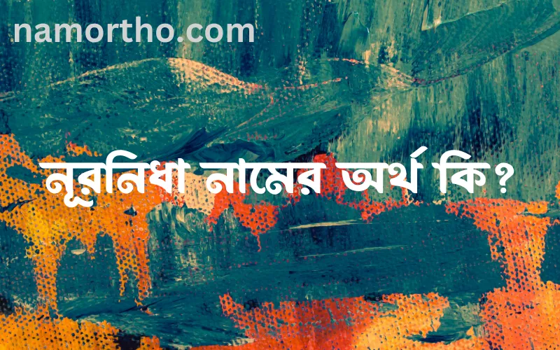 নূরনিধা নামের আর্থ কি?