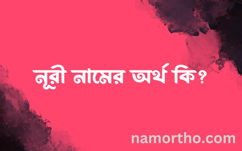 নূরী নামের আর্থ কি?