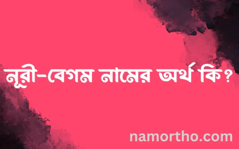 নূরী-বেগম নামের অর্থ কি? ইসলামিক আরবি বাংলা অর্থ
