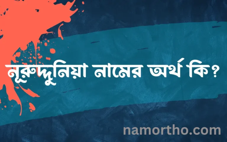 নূরুদ্দুনিয়া নামের অর্থ কি, ইসলামিক আরবি এবং বাংলা অর্থ জানুন