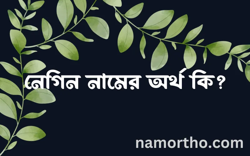 নেগিন নামের আর্থ কি?