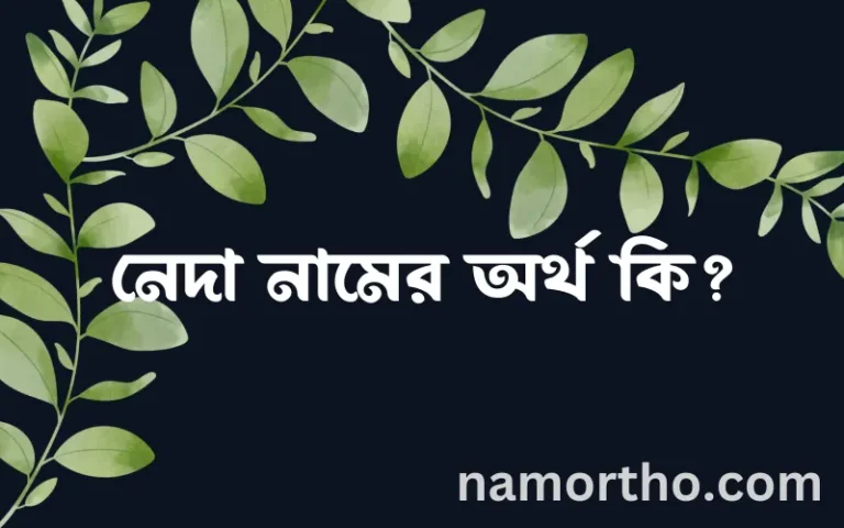 নেদা নামের অর্থ কি? (ব্যাখ্যা ও বিশ্লেষণ) জানুন