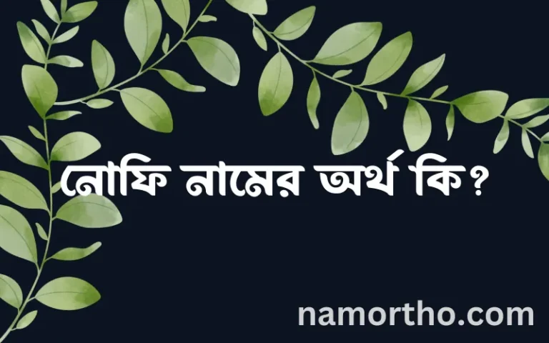 নোফি নামের অর্থ কি? নোফি নামের বাংলা, আরবি/ইসলামিক অর্থসমূহ