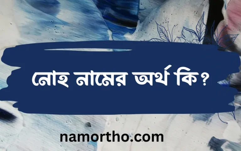 নোহ নামের অর্থ কি? (ব্যাখ্যা ও বিশ্লেষণ) জানুন