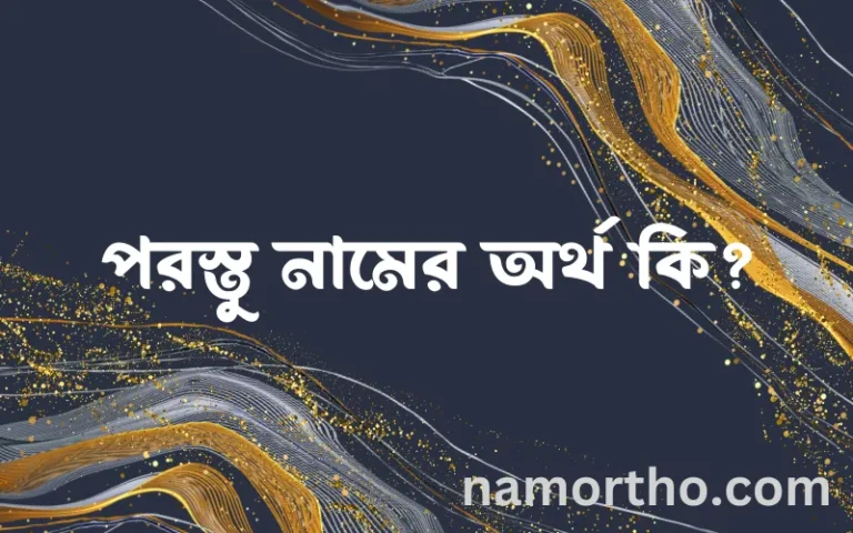 পরস্তু নামের অর্থ কি? ইসলামিক আরবি বাংলা অর্থ এবং নামের তাৎপর্য