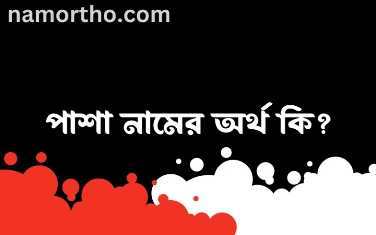 পাশা নামের অর্থ কি? (ব্যাখ্যা ও বিশ্লেষণ) জানুন
