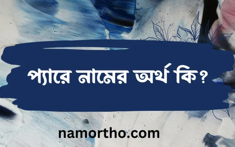 প্যারে নামের বাংলা আরবি ইসলামিক অর্থ কি?