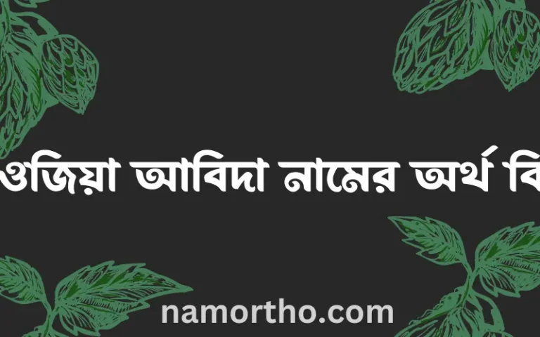 ফওজিয়া আবিদা নামের অর্থ কি, বাংলা ইসলামিক এবং আরবি অর্থ?