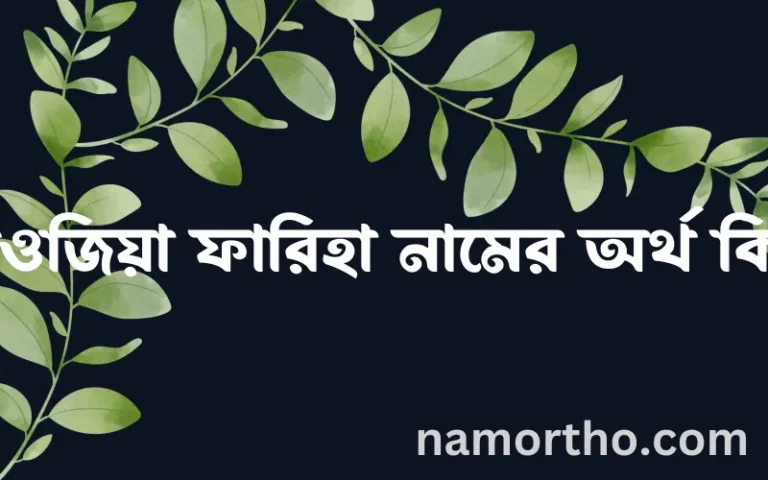 ফওজিয়া ফারিহা নামের অর্থ কি? (ব্যাখ্যা ও বিশ্লেষণ) জানুন