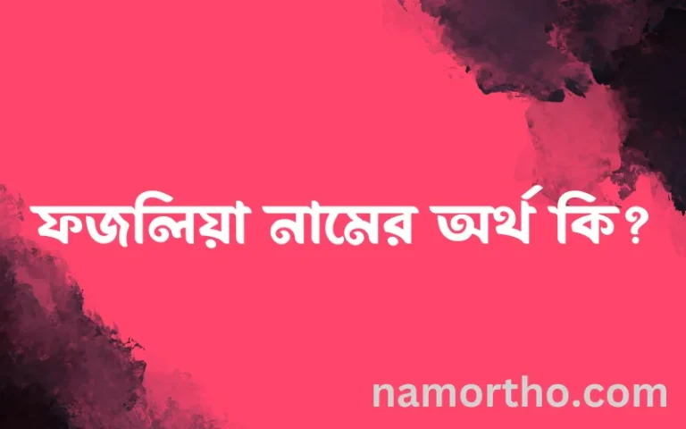 ফজলিয়া নামের অর্থ কি, বাংলা ইসলামিক এবং আরবি অর্থ?