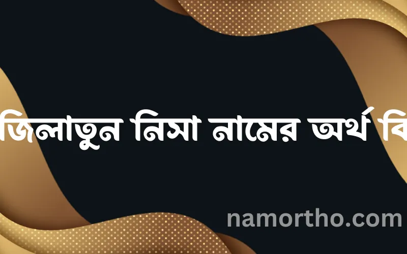 ফজিলাতুন নিসা নামের আর্থ কি?