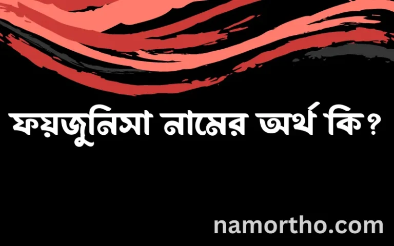 ফয়জুনিসা নামের অর্থ কি? (ব্যাখ্যা ও বিশ্লেষণ) জানুন