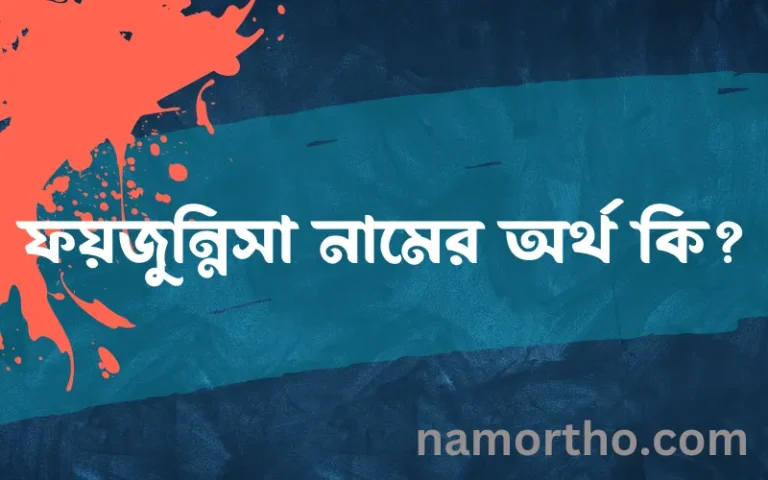ফয়জুন্নিসা নামের অর্থ কি এবং ইসলাম কি বলে? (বিস্তারিত)