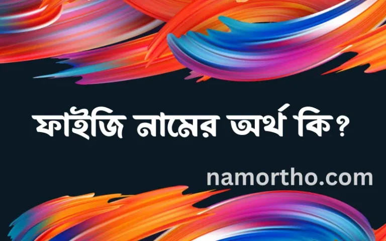 ফাইজি নামের অর্থ কি? ফাইজি নামের বাংলা, আরবি/ইসলামিক অর্থসমূহ