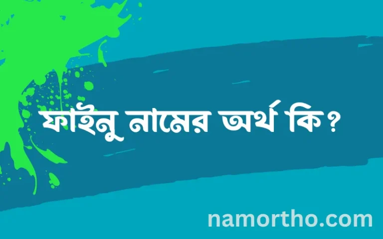 ফাইনু নামের অর্থ কি এবং ইসলাম কি বলে? (বিস্তারিত)