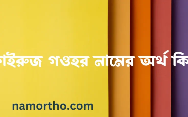 ফাইরুজ গওহর নামের অর্থ কি? (ব্যাখ্যা ও বিশ্লেষণ) জানুন