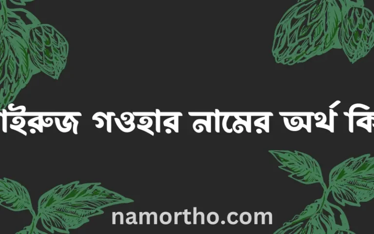ফাইরুজ গওহার নামের অর্থ কি? ইসলামিক আরবি বাংলা অর্থ এবং নামের তাৎপর্য