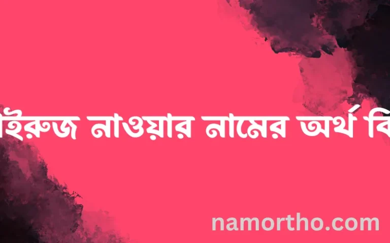 ফাইরুজ নাওয়ার নামের বাংলা আরবি ইসলামিক অর্থ কি?
