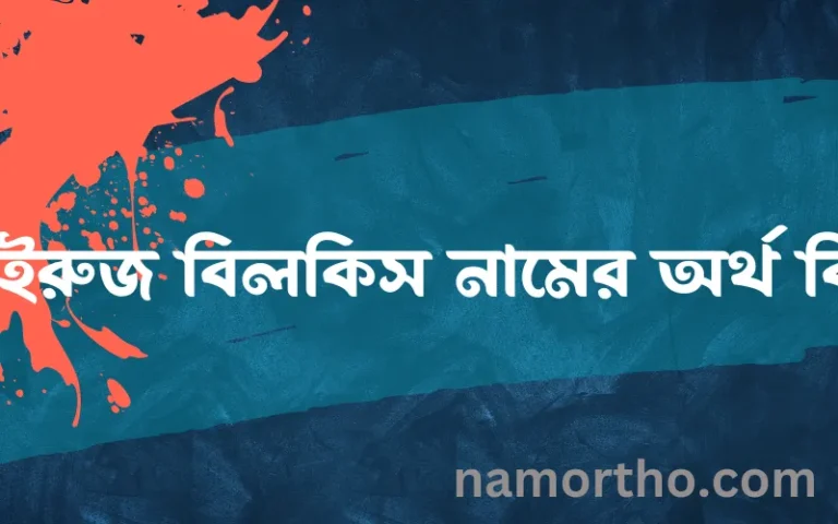 ফাইরুজ বিলকিস নামের অর্থ কি? ফাইরুজ বিলকিস নামের বাংলা, আরবি/ইসলামিক অর্থসমূহ