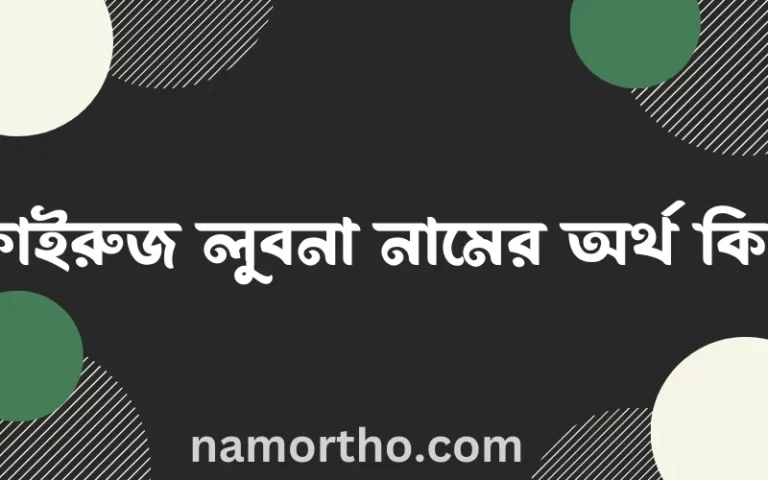 ফাইরুজ লুবনা নামের অর্থ কি? ইসলামিক আরবি বাংলা অর্থ এবং নামের তাৎপর্য
