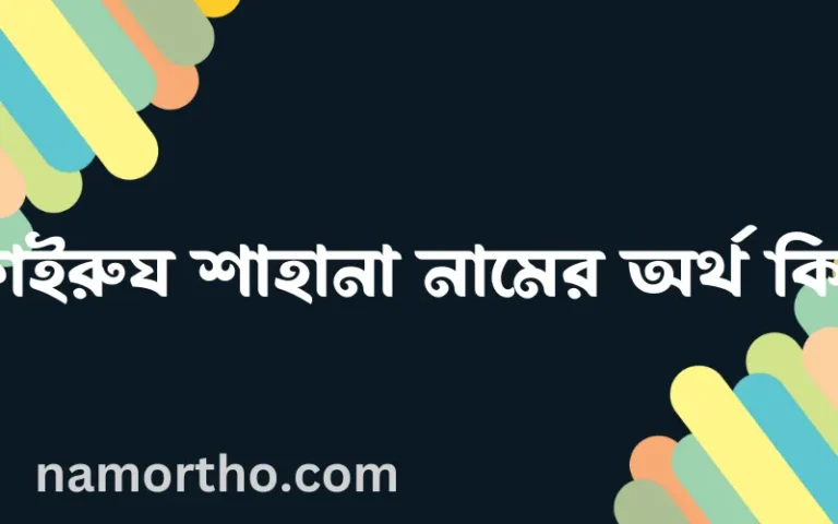 ফাইরুয শাহানা নামের অর্থ কি? ইসলামিক আরবি বাংলা অর্থ এবং নামের তাৎপর্য