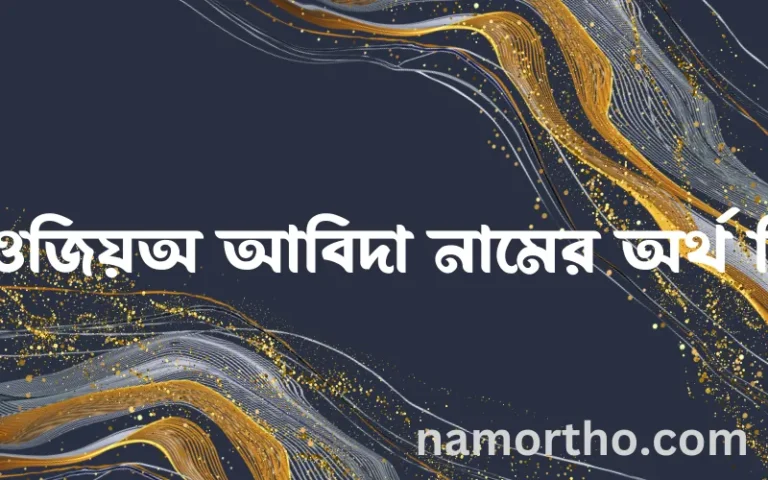 ফাওজিয়অ আবিদা নামের অর্থ কি? ফাওজিয়অ আবিদা নামের বাংলা, আরবি/ইসলামিক অর্থসমূহ