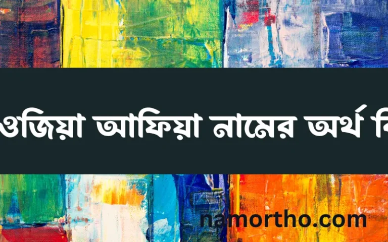 ফাওজিয়া আফিয়া নামের অর্থ কি? ফাওজিয়া আফিয়া নামের ইসলামিক অর্থ এবং বিস্তারিত তথ্য সমূহ