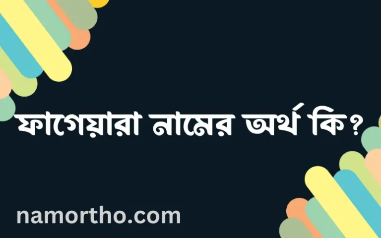ফাগেয়ারা নামের অর্থ কি? ফাগেয়ারা নামের বাংলা, আরবি/ইসলামিক অর্থসমূহ