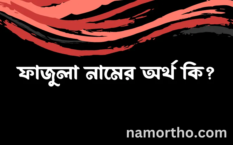 ফাজুলা নামের আর্থ কি?