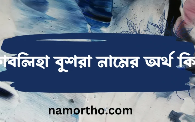ফাবলিহা বুশরা নামের অর্থ কি? ফাবলিহা বুশরা নামের বাংলা, আরবি/ইসলামিক অর্থসমূহ