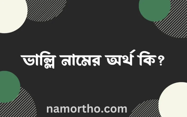 ভাল্লি নামের অর্থ কি? (ব্যাখ্যা ও বিশ্লেষণ) জানুন