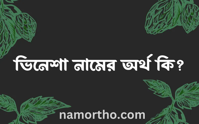 ভিনেশা নামের আর্থ কি?
