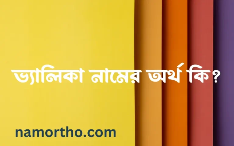 ভ্যালিকা নামের অর্থ কি? ভ্যালিকা নামের ইসলামিক অর্থ এবং বিস্তারিত তথ্য সমূহ
