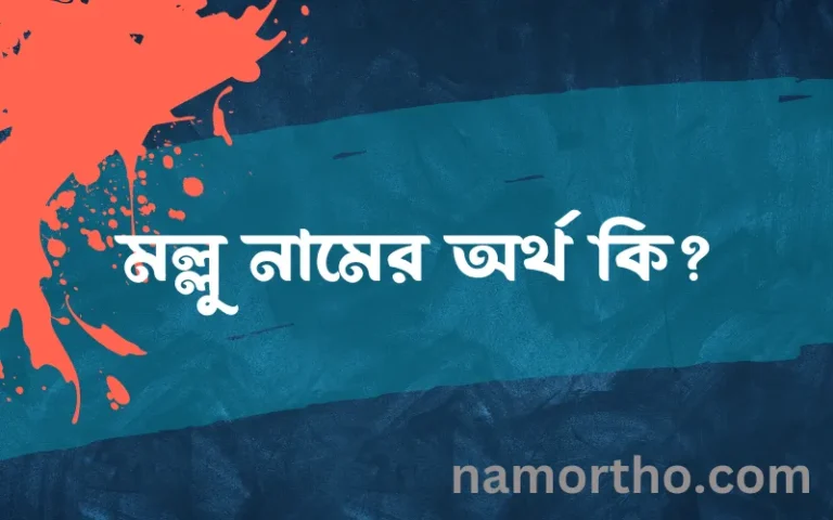 মল্লু নামের অর্থ কি? মল্লু নামের ইসলামিক অর্থ এবং বিস্তারিত তথ্য সমূহ