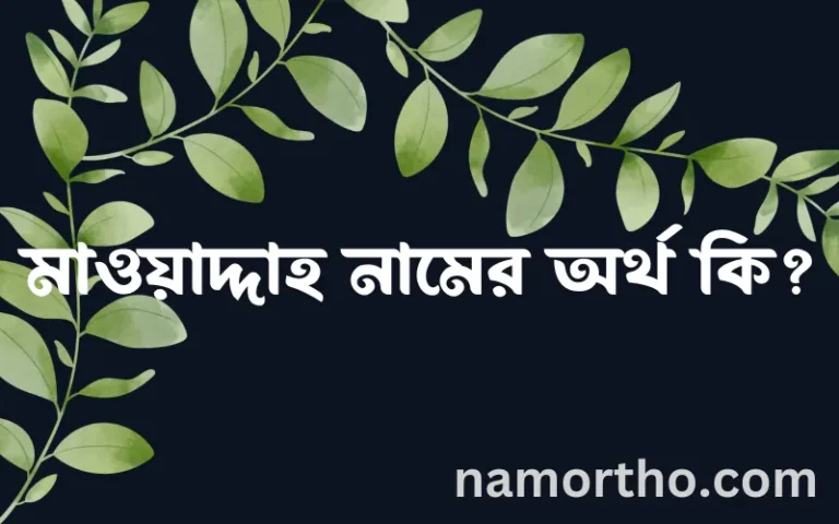 মাওয়াদ্দাহ নামের অর্থ কি? মাওয়াদ্দাহ নামের বাংলা, আরবি/ইসলামিক অর্থসমূহ