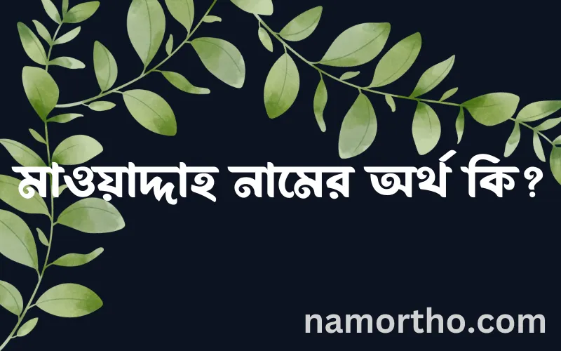 মাওয়াদ্দাহ নামের আর্থ কি?