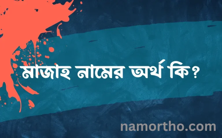 মাজাহ নামের অর্থ কি? মাজাহ নামের বাংলা, আরবি/ইসলামিক অর্থসমূহ