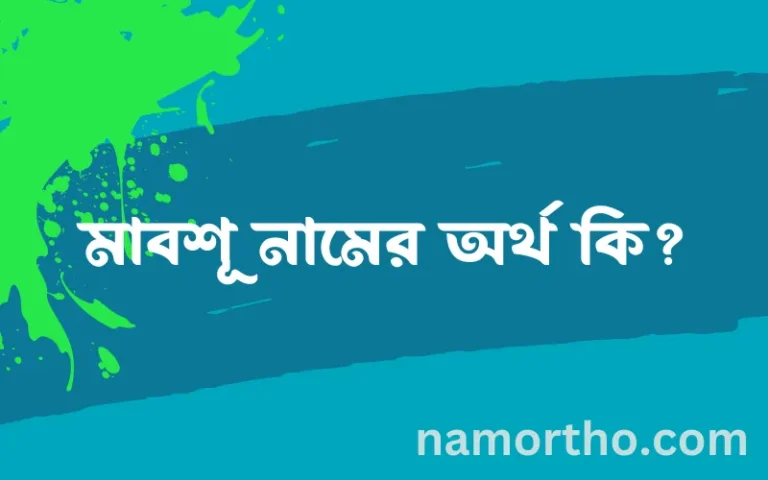 মাবশূ নামের অর্থ কি? মাবশূ নামের ইসলামিক অর্থ এবং বিস্তারিত তথ্য সমূহ