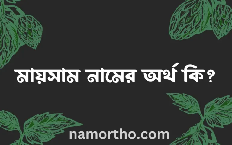 মায়সাম নামের অর্থ কি? মায়সাম নামের বাংলা, আরবি/ইসলামিক অর্থসমূহ