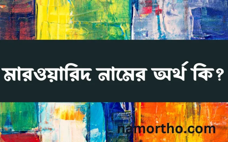 মারওয়ারিদ নামের অর্থ কি? মারওয়ারিদ নামের ইসলামিক অর্থ এবং বিস্তারিত তথ্য সমূহ