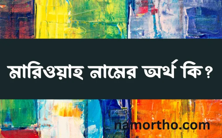 মারিওয়াহ নামের অর্থ কি? মারিওয়াহ নামের বাংলা, আরবি/ইসলামিক অর্থসমূহ