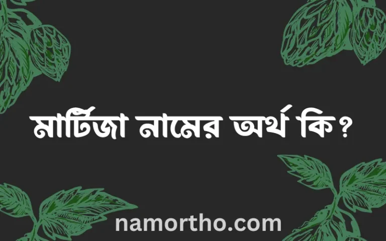 মার্টিজা নামের অর্থ কি? মার্টিজা নামের বাংলা, আরবি/ইসলামিক অর্থসমূহ