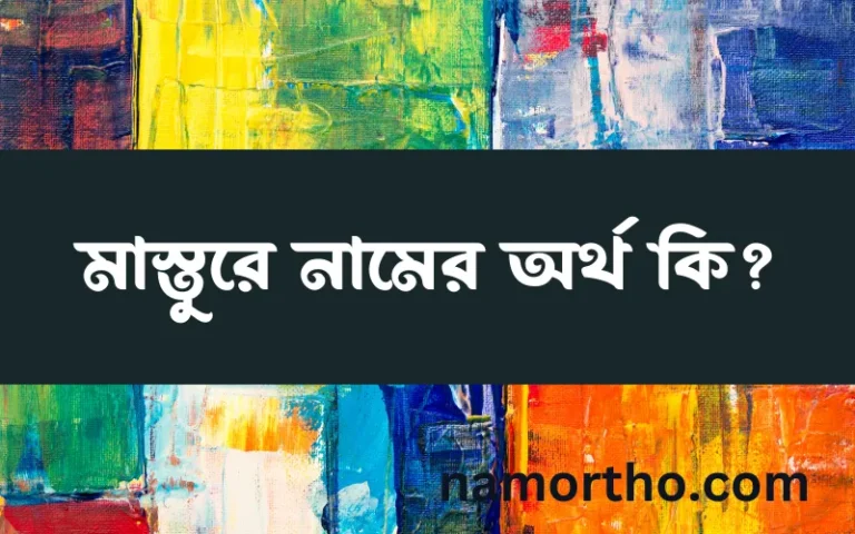 মাস্তুরে নামের অর্থ কি, বাংলা ইসলামিক এবং আরবি অর্থ?