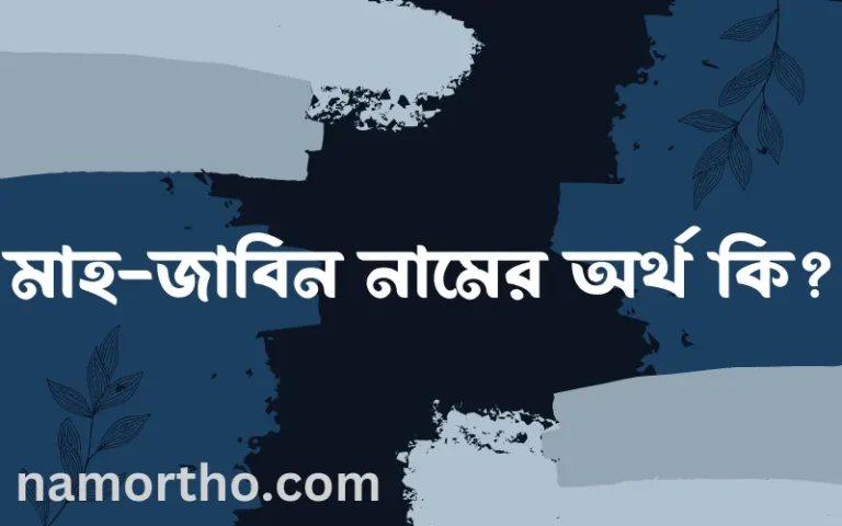 মাহ-জাবিন নামের অর্থ কি? মাহ-জাবিন নামের ইসলামিক অর্থ এবং বিস্তারিত তথ্য সমূহ