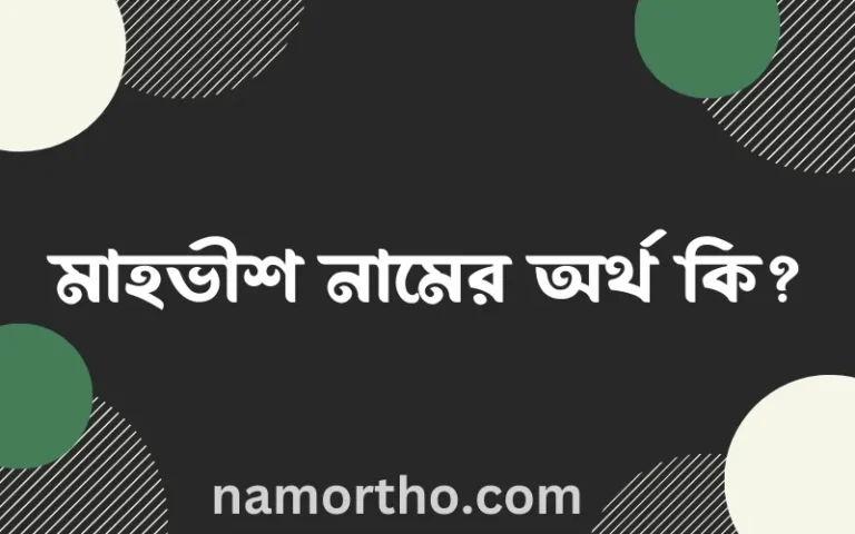 মাহভীশ নামের অর্থ কি? মাহভীশ নামের ইসলামিক অর্থ এবং বিস্তারিত তথ্য সমূহ