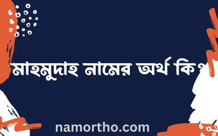 মাহমুদাহ নামের অর্থ কি? ইসলামিক আরবি বাংলা অর্থ এবং নামের তাৎপর্য
