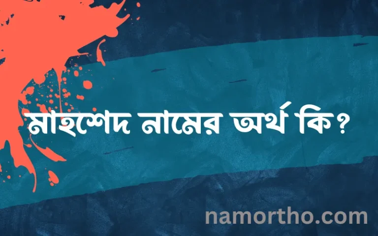 মাহশেদ নামের অর্থ কি? মাহশেদ নামের বাংলা, আরবি/ইসলামিক অর্থসমূহ