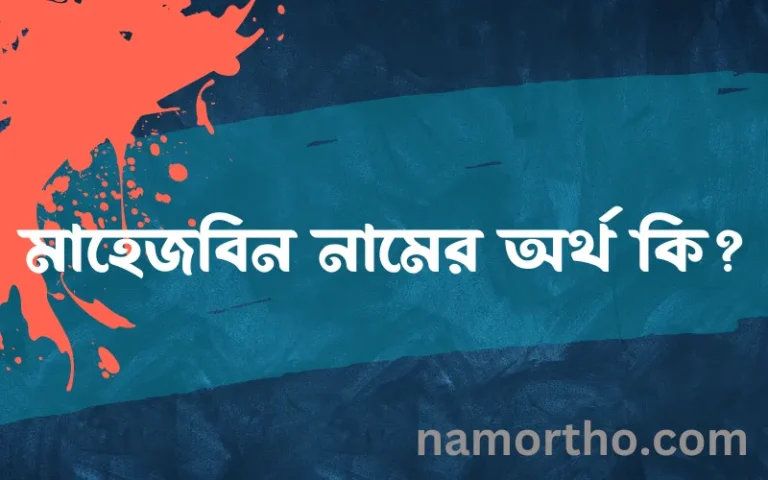 মাহেজবিন নামের অর্থ কি? মাহেজবিন নামের ইসলামিক অর্থ এবং বিস্তারিত তথ্য সমূহ
