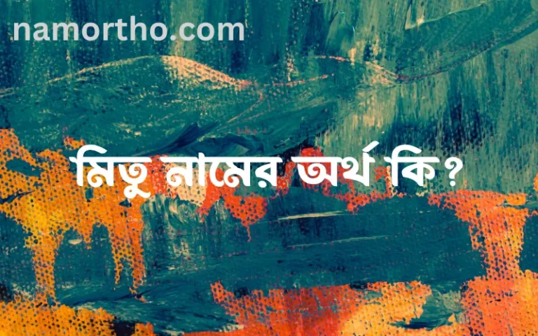 মিতু নামের অর্থ কি এবং ইসলাম কি বলে? (বিস্তারিত)